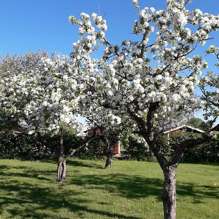 Mellomgarden Villa Norra Lundby ภายนอก รูปภาพ