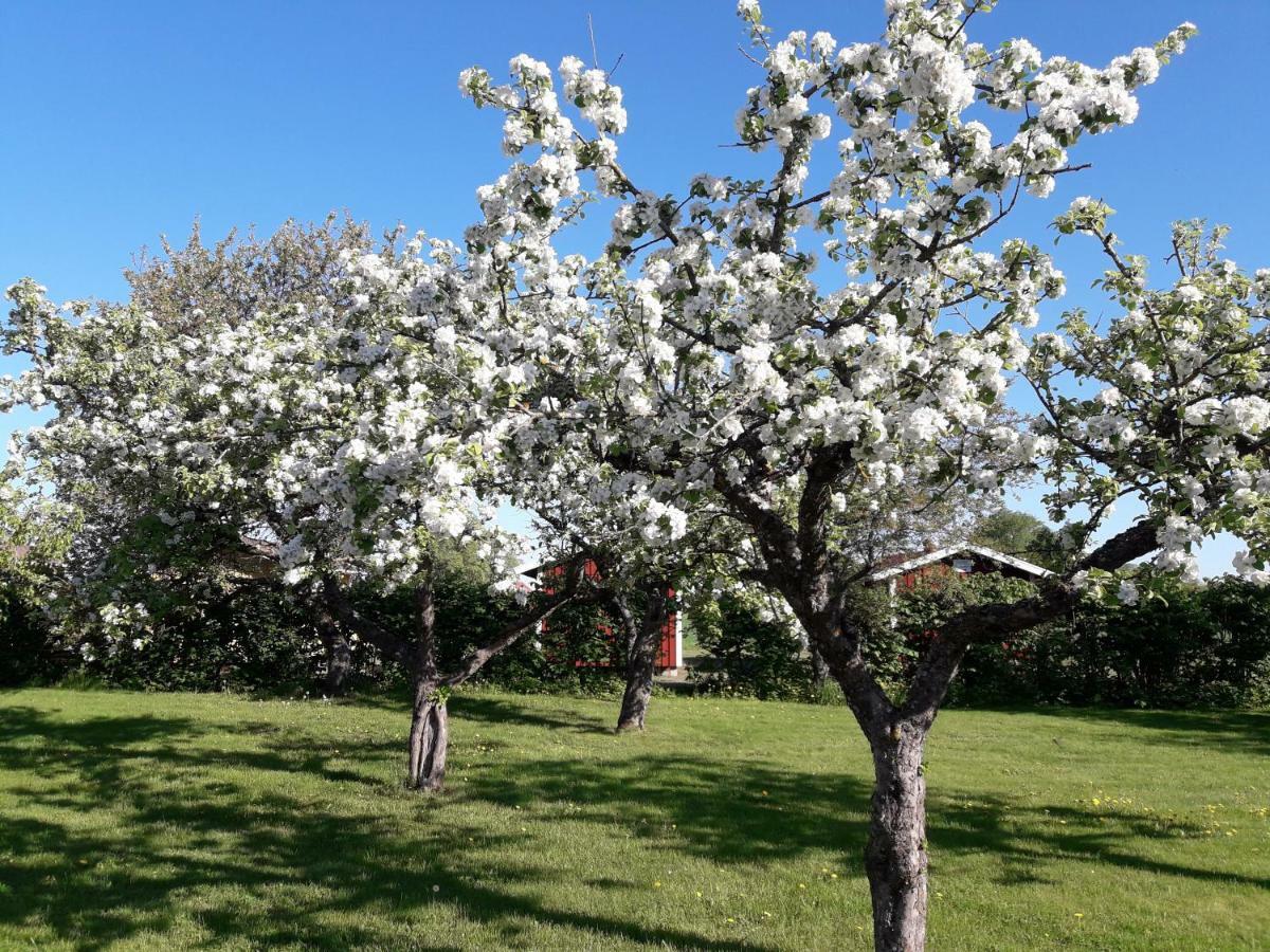 Mellomgarden Villa Norra Lundby ภายนอก รูปภาพ